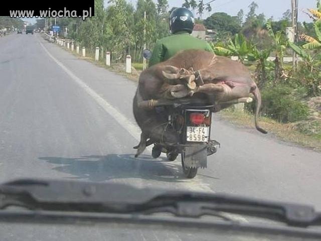Co można przewozić na motorku ???