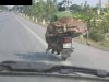 Co można przewozić na motorku ???