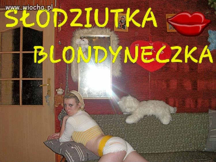 Kocica.