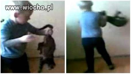 Dzieciak vs Kot