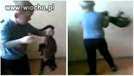 Dzieciak vs Kot