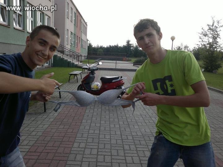 Lans?