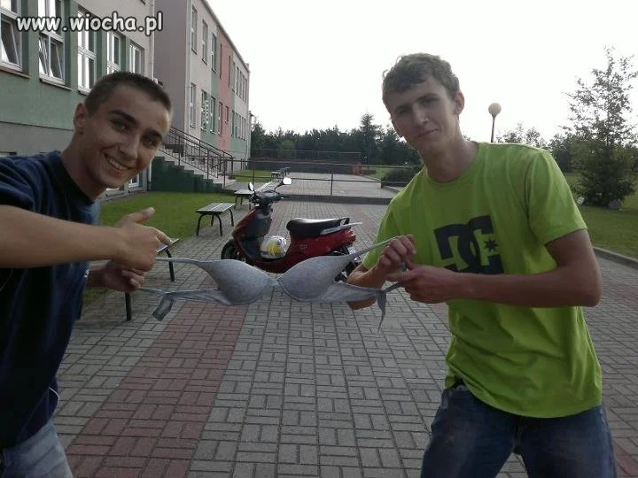 Lans?