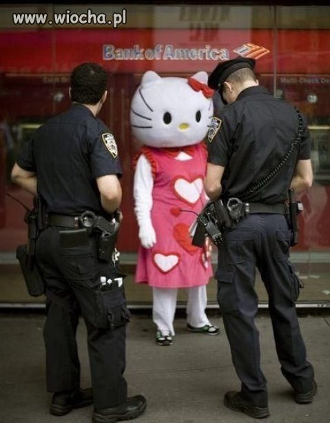 Imie? Hello, nazwisko? Kitty