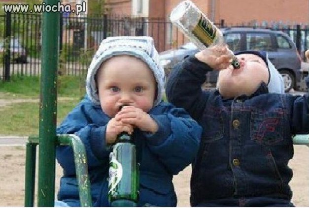 Rośnie nowe pokolenie