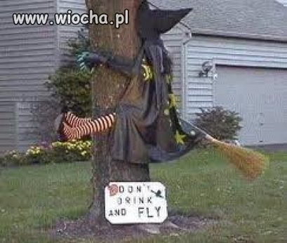 Don't Drink And Fly