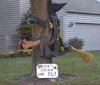 Don't Drink And Fly