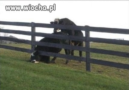 Przyjaciel przyjaciela