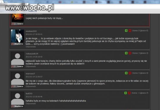 Cała prawda o wiocha.pl