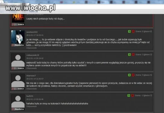 Cała prawda o wiocha.pl