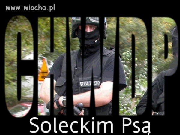 Ortografia  się kłania