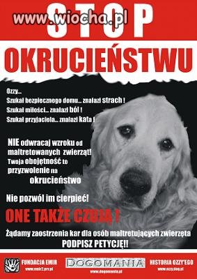 Znęcanie się nad zwierzętami.