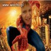 Nowy