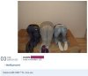 Nowy sposób na wspólne zdjęcie