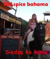 Reklama old spice bahama