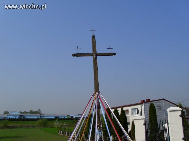 WTF???   Krzyż wersja PRO   2.0