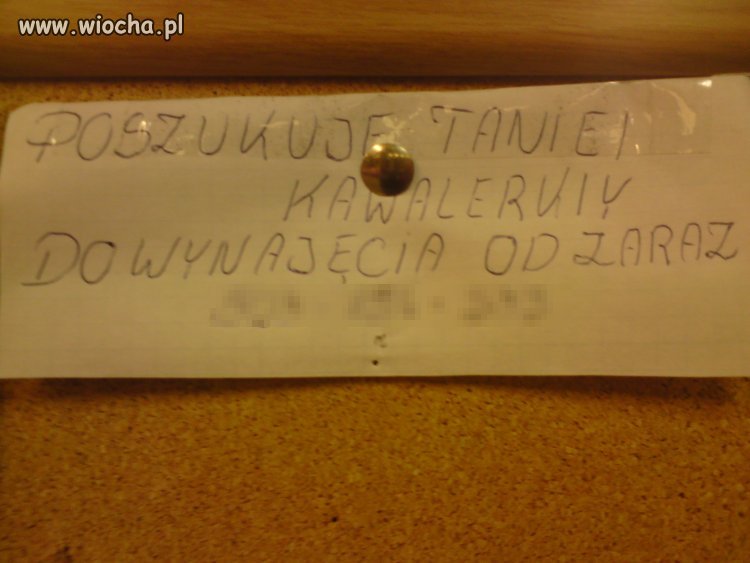 Ah ta pisownia polska 