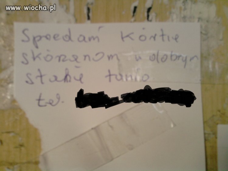 Co to jest kórtia? Bo ja nie wiem