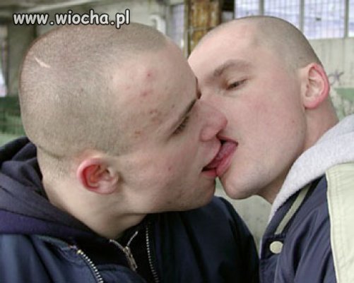 Kocham Kiboli Uwielbiam Dresy