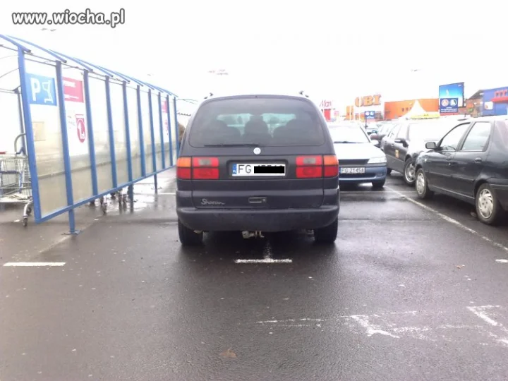 Mistrz parkowania