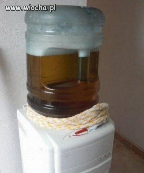 Zimne piwko można? Można!