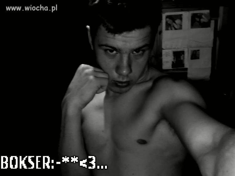 Bokser