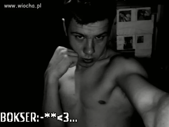 Bokser