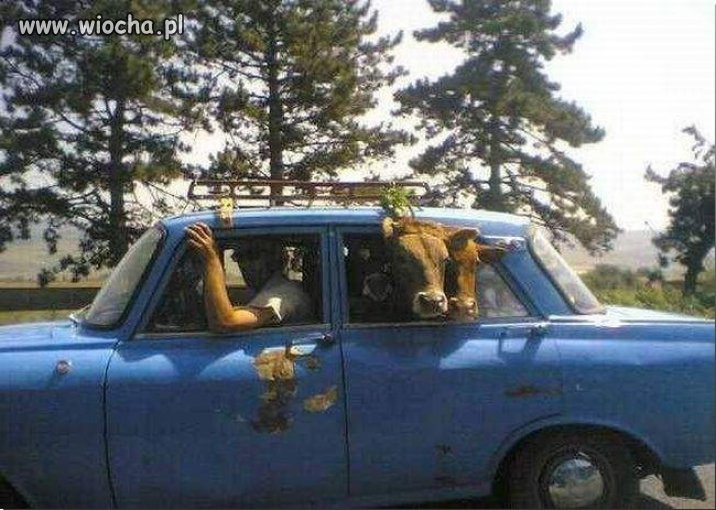 Usługi transportowe c.d