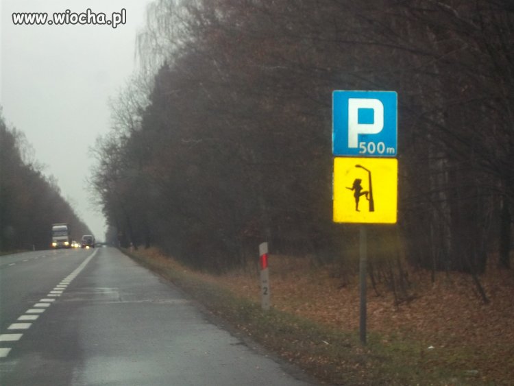 Znak na trasie Warszawa-Lublin! Przed Garwolinem!