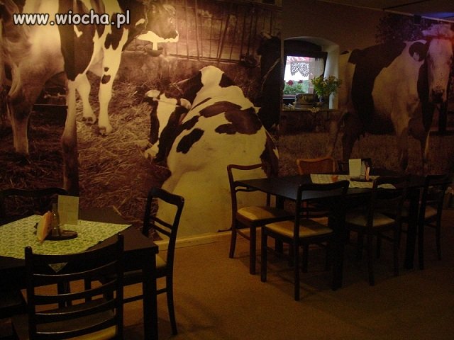 Wiocha w restauracji