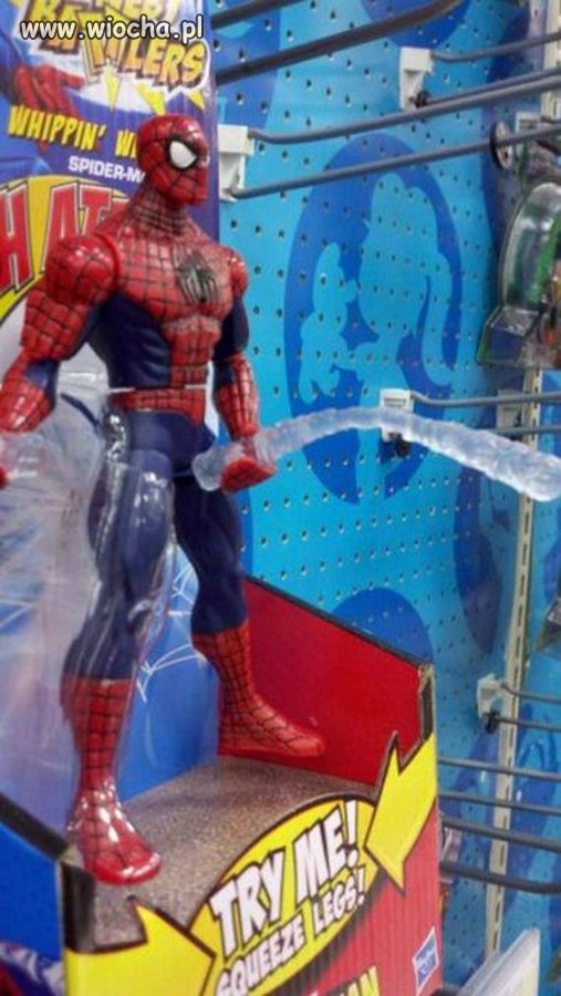 Spider - olbrzym 