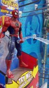 Spider - olbrzym 