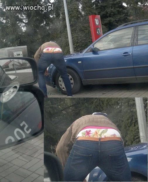 Legnicka moda