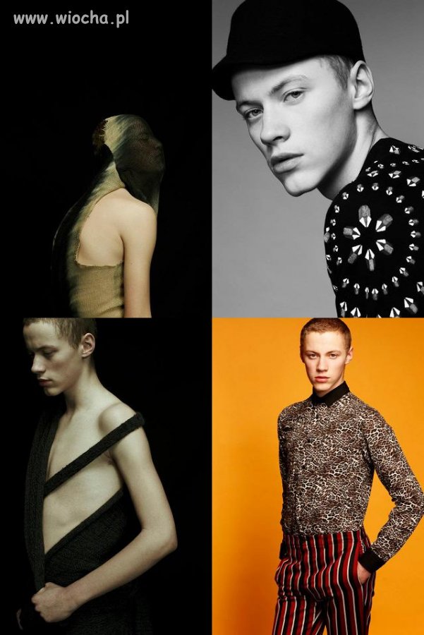 Modele