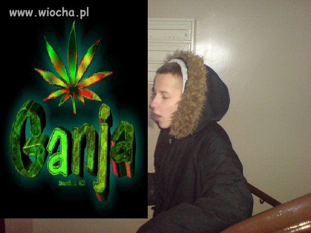 Mistrz