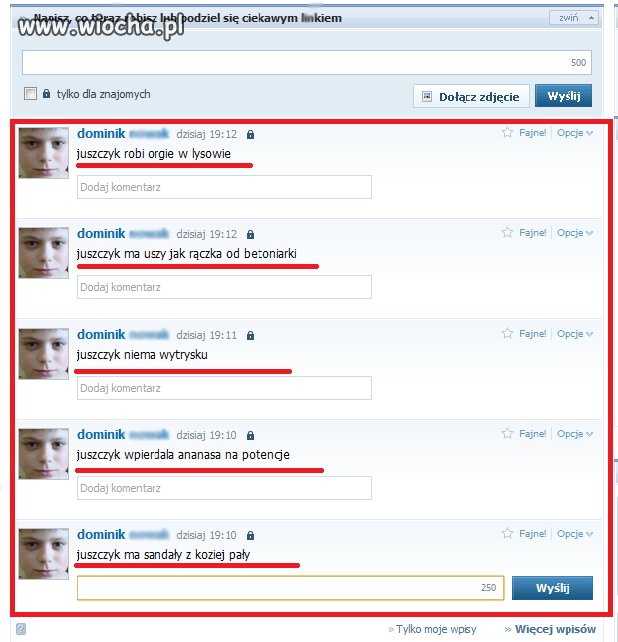 Do czego jest tak zwany "śledzik" na NK
