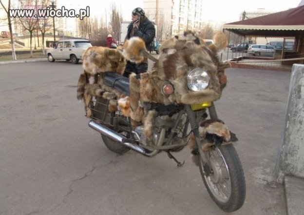 Z cyklu: