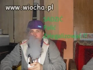 Takie tam palonko