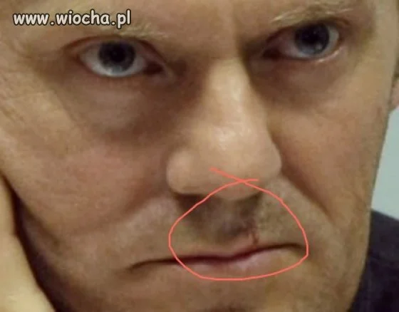 Tusk dostał w dziób 