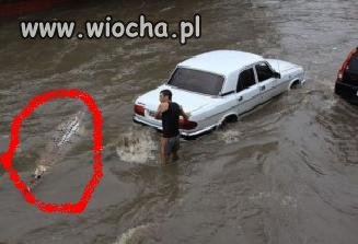 Ale koleś wjechał