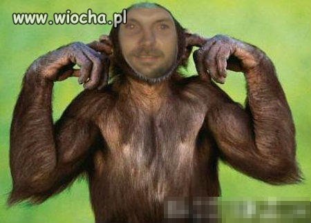 Małpiszon