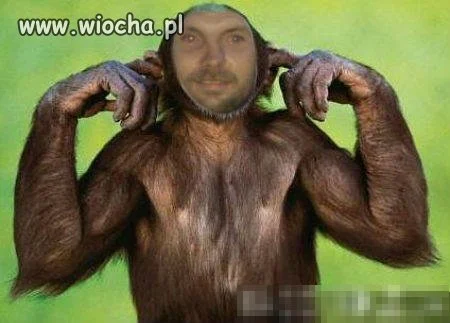 Małpiszon