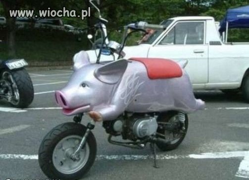 Moto-świnia
