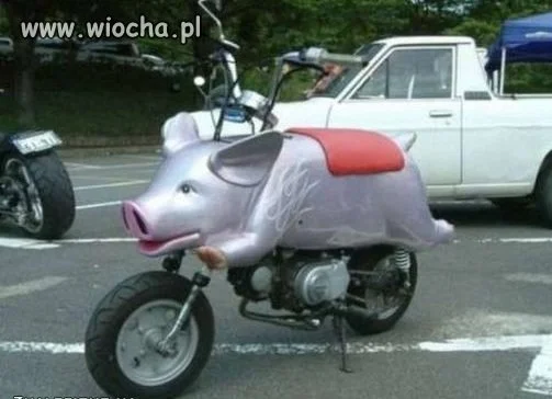 Moto-świnia