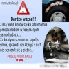 Nie obchodzi mnie ocena tego obrazka
