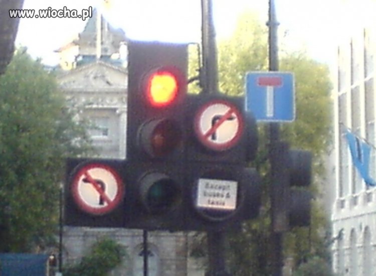 A ponoć Polska to królowa absurdów drogowych.