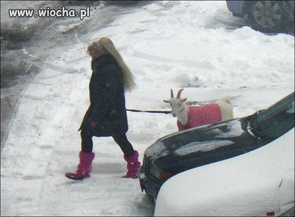 Co kto lubi