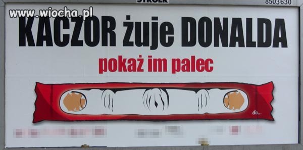Paluszek 
