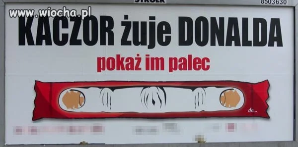 Paluszek 