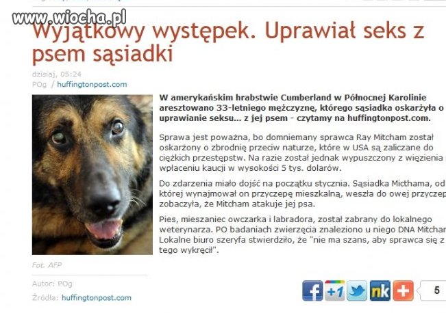 Patologia nie przebiera